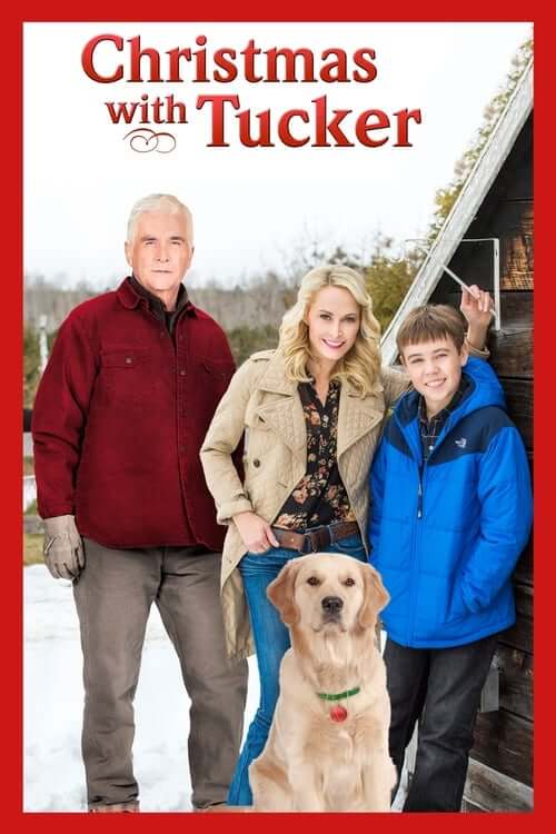 Téléfilm Un chien pour Noël