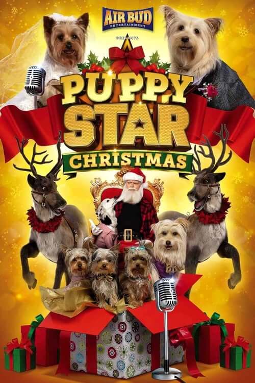 Film Puppy Star : c’est Noël !