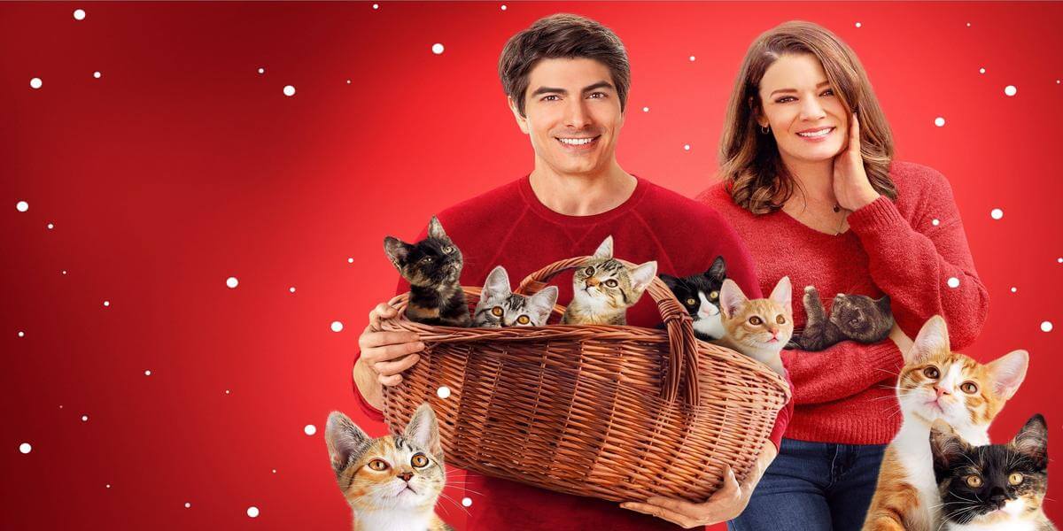 Neuf chatons pour Noël Poster