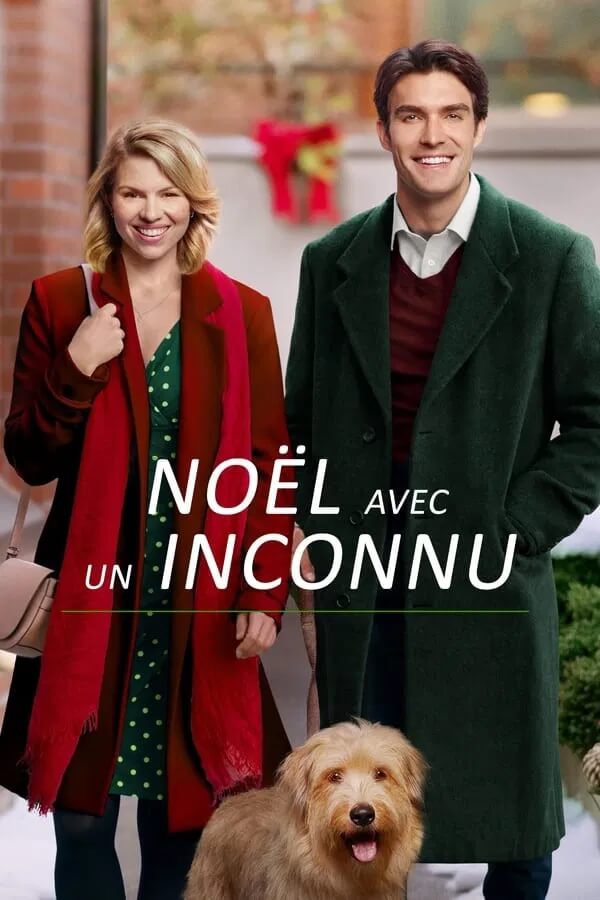 Téléfilm Noël avec un inconnu