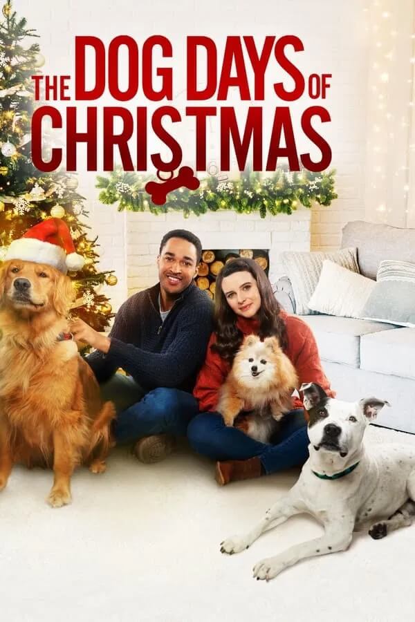 Téléfilm Avec toi pour Noël