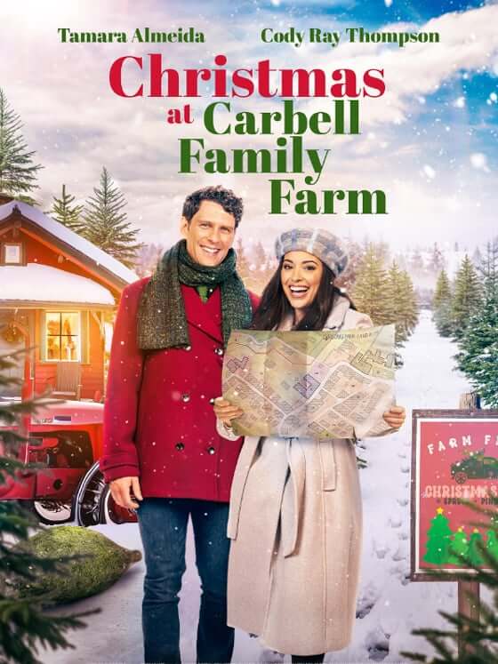 Téléfilm Un Noël plein d’histoires