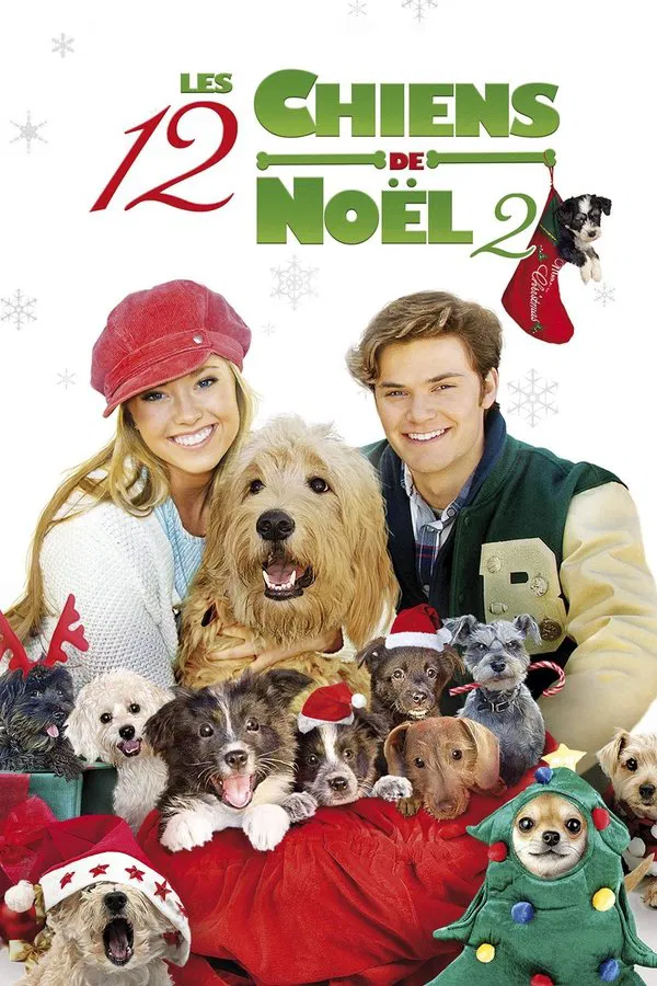 Film Les 12 chiens de noël 2