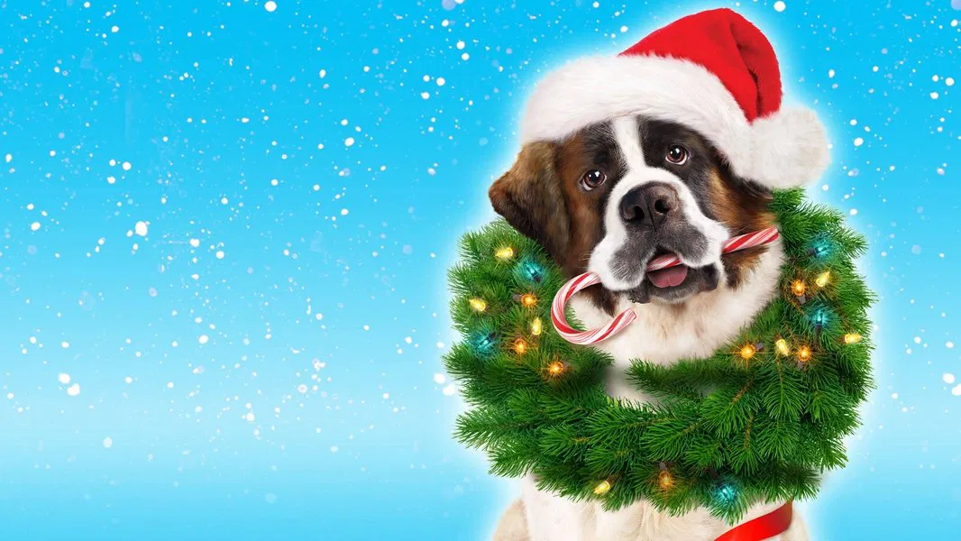 Beethoven sauve Noël Poster