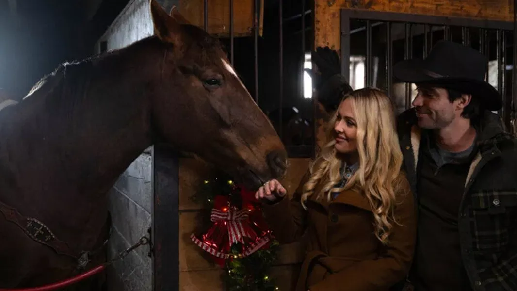 Noël sous les flocons Poster