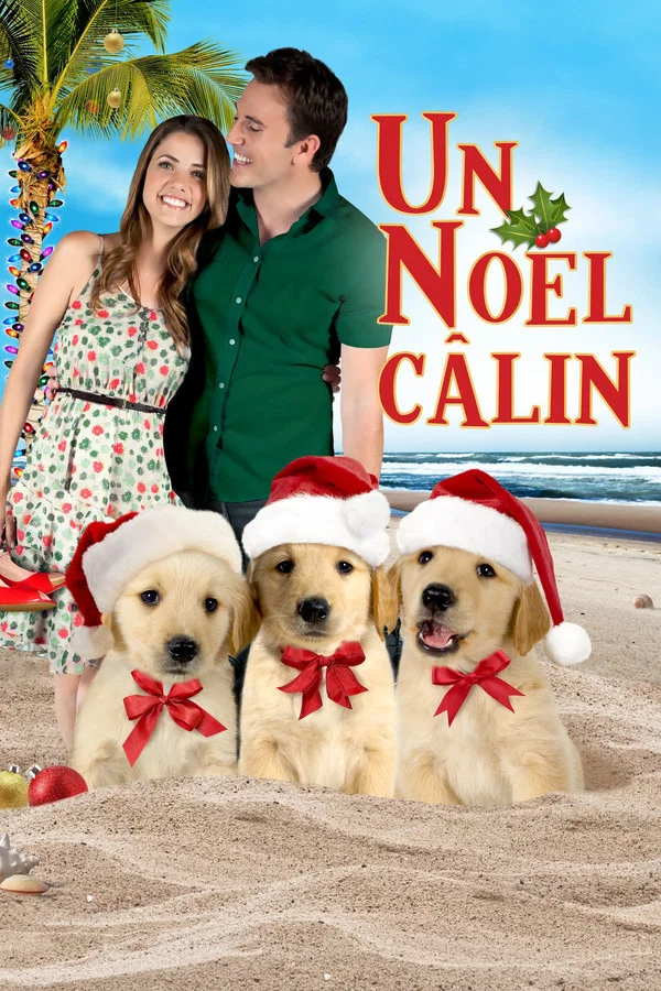Film 3 amis pour Noël